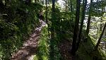 P10903-122559.jpg