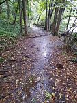 2021092007304500.jpg