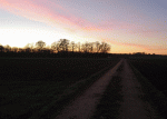 Abend_1.GIF