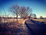 25BA67C5-194B-418B-8242-B4F3E8853BEE.jpeg