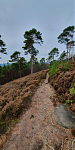 2022-01-24 21_25_25-Trailchen in der alten Heimat _ Lauf _ Strava.png