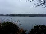20220203_132635.jpg