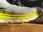 IMG_7098.jpg