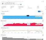 Laufband 08.03.JPG