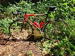 20220606_140020.jpg