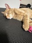 IMG_4529 Mittel.jpeg