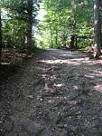 DSC03984.JPG