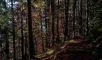 IMG_20221011_114459.jpg