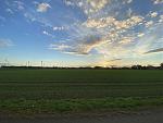IMG_3810.jpg