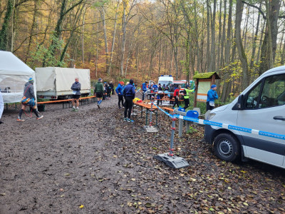 Start-mitten-im-Wald.jpg