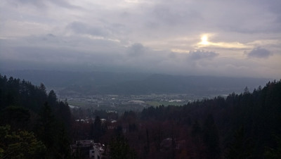 IMG_20221202_150056.jpg