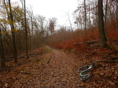 P1080917a.jpg