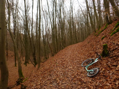 P1080916a.jpg