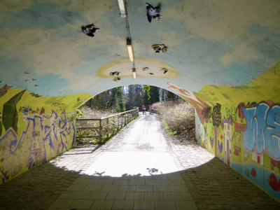Runners-High-UrbanTrail.jpg