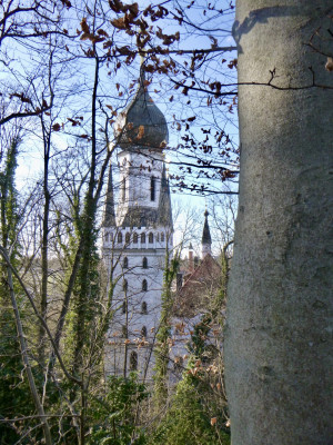 Versteckte-Schönheit-UrbanTrail.jpg