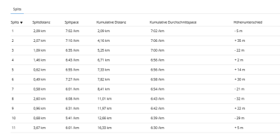 Test Pace-Pro Teil 2 - Splits.png