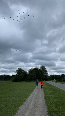 Unter-Wolken-Starnberger-See.jpg