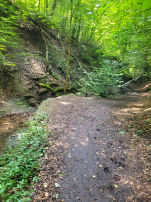 Vaihingen-MA-2023-08-Schlucht-abwärts.jpg