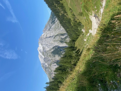 IMG_4194.jpg