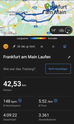 Frankfurt-MA2023-Garmindaten.jpg