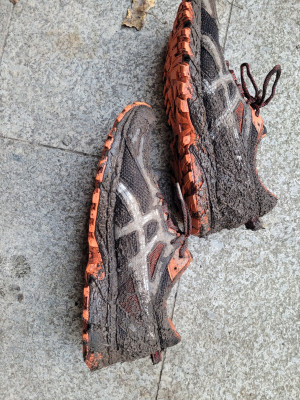 Zeiler-Wald-MA-2023-Trailschuhe.jpg
