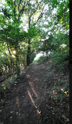 Spalter-Hügelland-Trail-Unterwegs.jpg