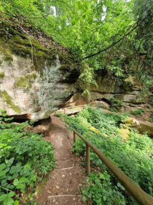 Spalter-Hügelland-Trail-Schnittinger-Loch1.jpg