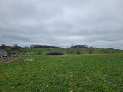 Hohenlohe-MA-03-2024-Nach-Goldbach-erste-Höhenzüge.jpg