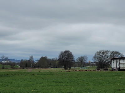 Hohenlohe-MA-03-2024-Mobile-Hühnerställe.jpg