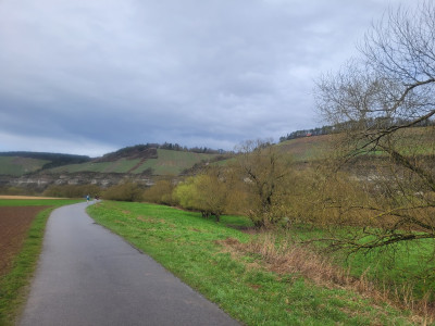 Gedenklauf-Würzburg-2024-Weinhänge-am-Main-im-Regen.jpg
