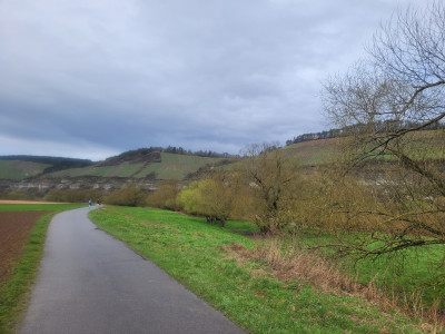 Gedenklauf-Würzburg-2024-Weinhänge-am-Main-im-Regen.jpg