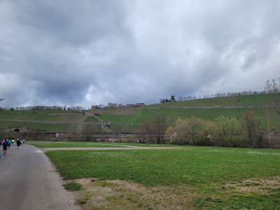 Gedenklauf-Würzburg-2024-noch-im-Pulk-unterwegs.jpg