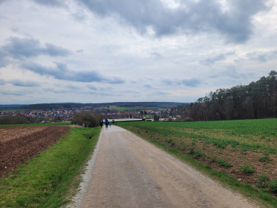 Weingässchen-Infinite-Loop2024-Downhill-Schwabacher-Wiesengrund.jpg