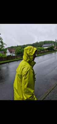 Bestes Laufwetter für mich.