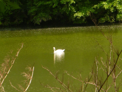 P1090492a.jpg