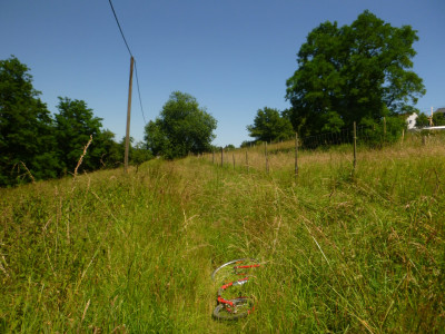 P1090502a.jpg