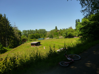 P1090503a.jpg