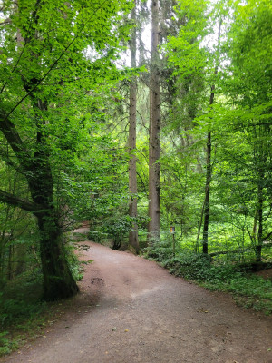 Bergischer-12-Std-Lauf-auf der Strecke5.jpg