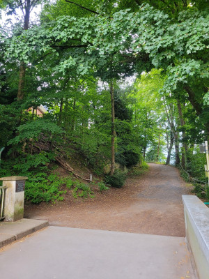Bergischer-12-Std-Lauf-Rampe-zum-Ziel.jpg