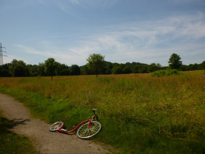 P1090550a.jpg