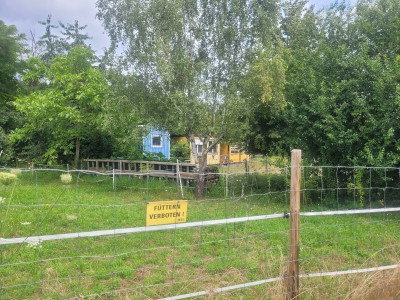 Vaihingen-08-2024-kleine-Pferdekoppel.jpg