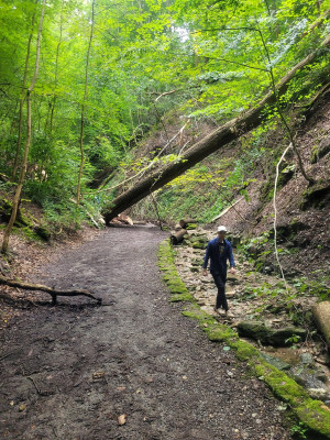 Vaihingen-08-2024-Auenwald-2.jpg