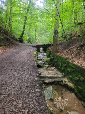 Vaihingen-08-2024-Auenwald-4.jpg