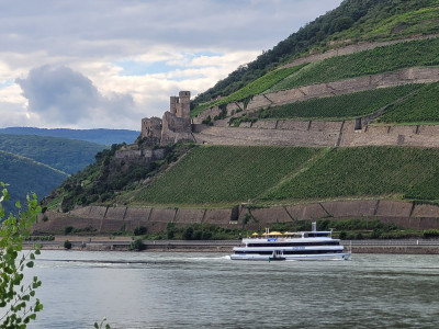 Charity-Mega-Run Bingen 2024-Rheinblick-Weinhänge.jpg