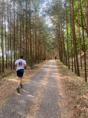 Mauerweglauf-Berlin-2024-immer-wieder-durch-Wald.jpg