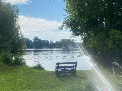 Mauerweglauf-Berlin-2024-Seenlandschaft-Berlin.jpg