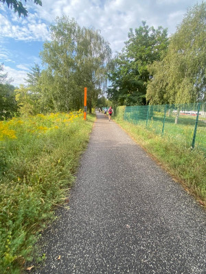 Mauerweglauf-Berlin-2024-Vorbei-an-Gedenkstehlen.jpg
