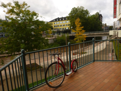 P1090586a.jpg