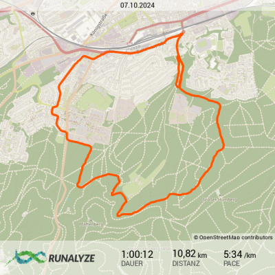 Runalyze-activity_2024-10-07T183000.png