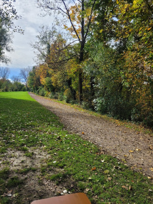 Lech+Wertach-MA-2024-Herbststimmung-Wertach.jpg